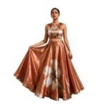 Women’s Stylish Lehenga Choli Set